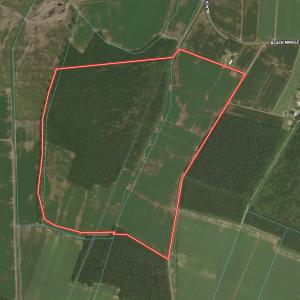 Photo #31 of Off Black Mingle Rd, Gates, NC 109.8 acres