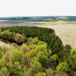 Photo #10 of Off Middle Swamp Rd, Gates, NC 32.2 acres