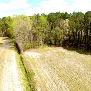 Photo #11 of Off Middle Swamp Rd, Gates, NC 32.2 acres