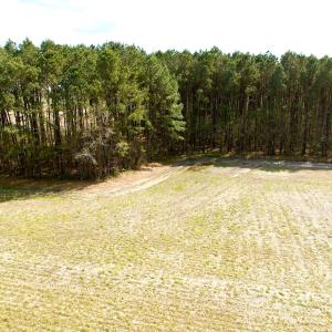 Photo #12 of Off Middle Swamp Rd, Gates, NC 32.2 acres