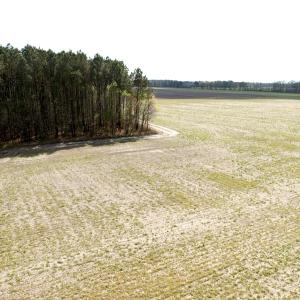 Photo #13 of Off Middle Swamp Rd, Gates, NC 32.2 acres
