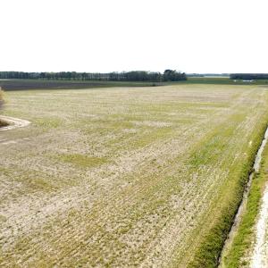 Photo #14 of Off Middle Swamp Rd, Gates, NC 32.2 acres