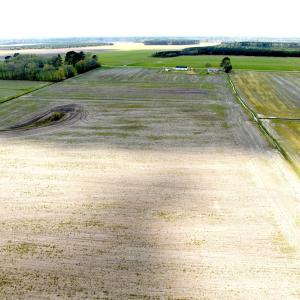 Photo #15 of Off Middle Swamp Rd, Gates, NC 32.2 acres