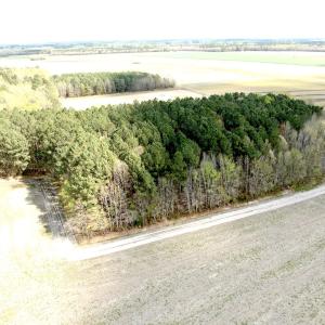 Photo #16 of Off Middle Swamp Rd, Gates, NC 32.2 acres
