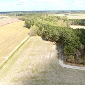 Photo #17 of Off Middle Swamp Rd, Gates, NC 32.2 acres