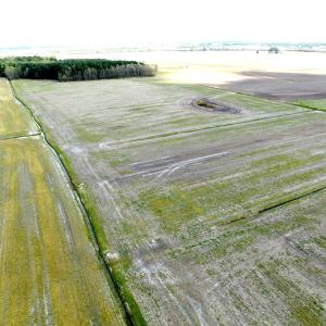 Photo #18 of Off Middle Swamp Rd, Gates, NC 32.2 acres