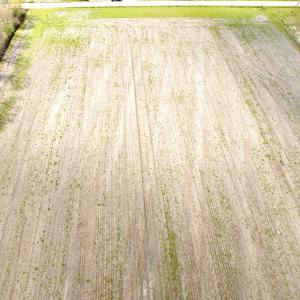 Photo #19 of Off Middle Swamp Rd, Gates, NC 32.2 acres