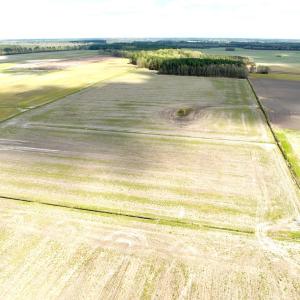 Photo #3 of Off Middle Swamp Rd, Gates, NC 32.2 acres