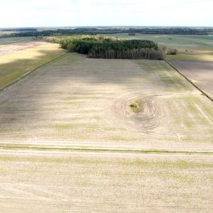 Photo #4 of Off Middle Swamp Rd, Gates, NC 32.2 acres