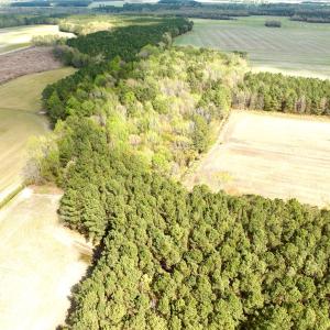 Photo #7 of Off Middle Swamp Rd, Gates, NC 32.2 acres