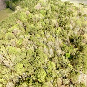 Photo #8 of Off Middle Swamp Rd, Gates, NC 32.2 acres