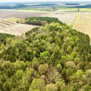 Photo #9 of Off Middle Swamp Rd, Gates, NC 32.2 acres