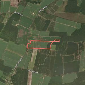 Photo #24 of Off Middle Swamp Rd, Gates, NC 32.2 acres