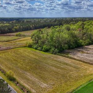 Photo #1 of Off of HC Powers Rd, Wallace, NC 2.2 acres