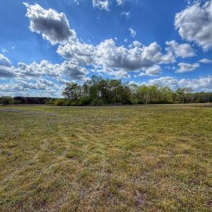 Photo #3 of Off of HC Powers Rd, Wallace, NC 2.2 acres