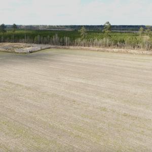 Photo #1 of Off Black Mingle Rd, Gates, NC 80.6 acres