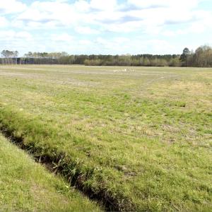 Photo #2 of Off Black Mingle Rd, Gates, NC 80.6 acres