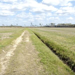 Photo #3 of Off Black Mingle Rd, Gates, NC 80.6 acres