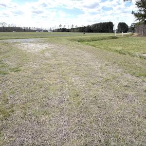 Photo #9 of Off Black Mingle Rd, Gates, NC 80.6 acres