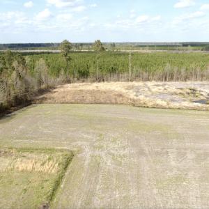 Photo #4 of Off Black Mingle Rd, Gates, NC 80.6 acres