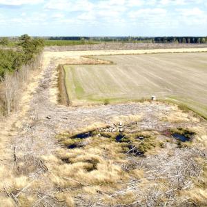 Photo #5 of Off Black Mingle Rd, Gates, NC 80.6 acres