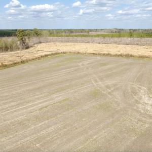 Photo #6 of Off Black Mingle Rd, Gates, NC 80.6 acres