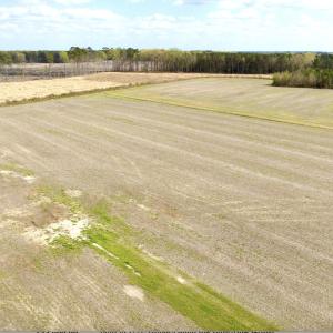 Photo #7 of Off Black Mingle Rd, Gates, NC 80.6 acres