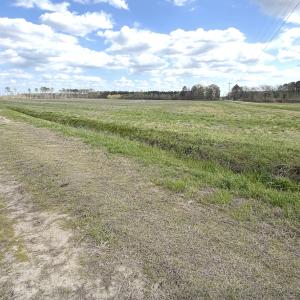 Photo #8 of Off Black Mingle Rd, Gates, NC 80.6 acres