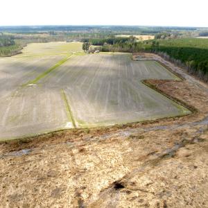 Photo #15 of Off Black Mingle Rd, Gates, NC 80.6 acres