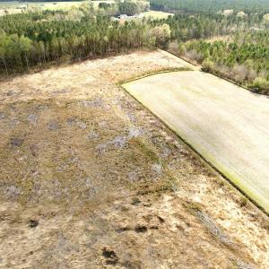 Photo #16 of Off Black Mingle Rd, Gates, NC 80.6 acres