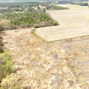 Photo #17 of Off Black Mingle Rd, Gates, NC 80.6 acres