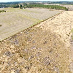 Photo #18 of Off Black Mingle Rd, Gates, NC 80.6 acres