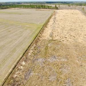 Photo #19 of Off Black Mingle Rd, Gates, NC 80.6 acres