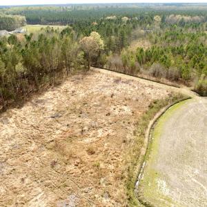 Photo #20 of Off Black Mingle Rd, Gates, NC 80.6 acres