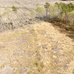 Photo #21 of Off Black Mingle Rd, Gates, NC 80.6 acres