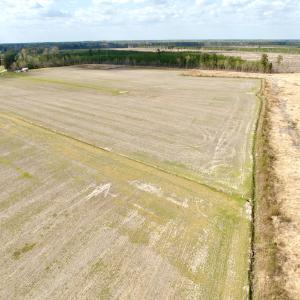 Photo #22 of Off Black Mingle Rd, Gates, NC 80.6 acres