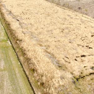 Photo #23 of Off Black Mingle Rd, Gates, NC 80.6 acres