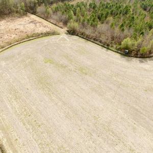 Photo #24 of Off Black Mingle Rd, Gates, NC 80.6 acres