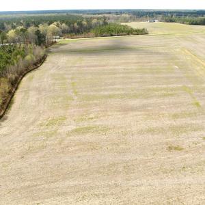 Photo #25 of Off Black Mingle Rd, Gates, NC 80.6 acres
