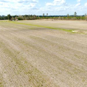 Photo #26 of Off Black Mingle Rd, Gates, NC 80.6 acres