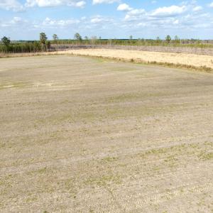 Photo #27 of Off Black Mingle Rd, Gates, NC 80.6 acres