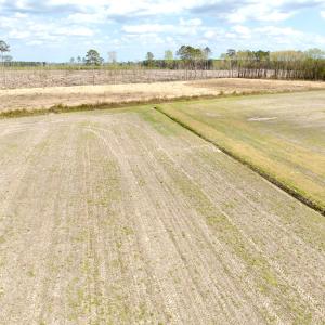 Photo #28 of Off Black Mingle Rd, Gates, NC 80.6 acres