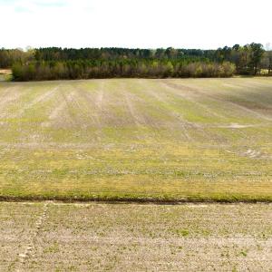 Photo #29 of Off Black Mingle Rd, Gates, NC 80.6 acres