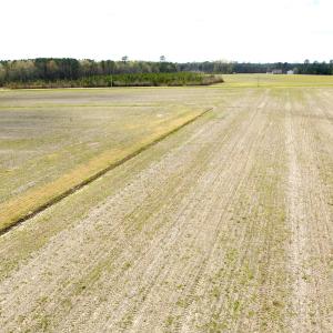 Photo #30 of Off Black Mingle Rd, Gates, NC 80.6 acres