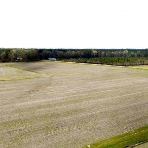 Photo #31 of Off Black Mingle Rd, Gates, NC 80.6 acres