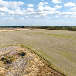 Photo #11 of Off Black Mingle Rd, Gates, NC 80.6 acres