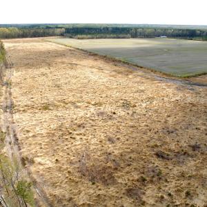 Photo #13 of Off Black Mingle Rd, Gates, NC 80.6 acres