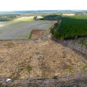 Photo #14 of Off Black Mingle Rd, Gates, NC 80.6 acres