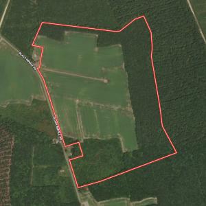 Photo #35 of Off Black Mingle Rd, Gates, NC 80.6 acres