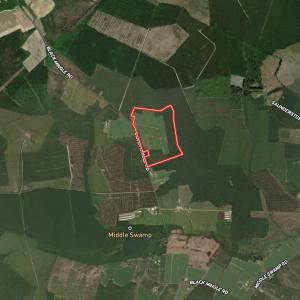 Photo #34 of Off Black Mingle Rd, Gates, NC 80.6 acres